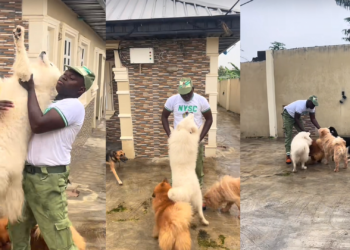 Corper Shares Heartwarming Reunion with His Dogs After NYSC Camp