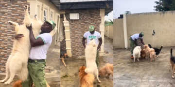 Corper Shares Heartwarming Reunion with His Dogs After NYSC Camp