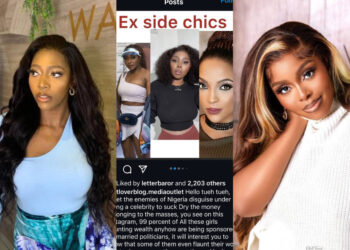 I Was Never Involved In Any Relationship With A Politician – Wanneka Nkumah Debunks Rumours