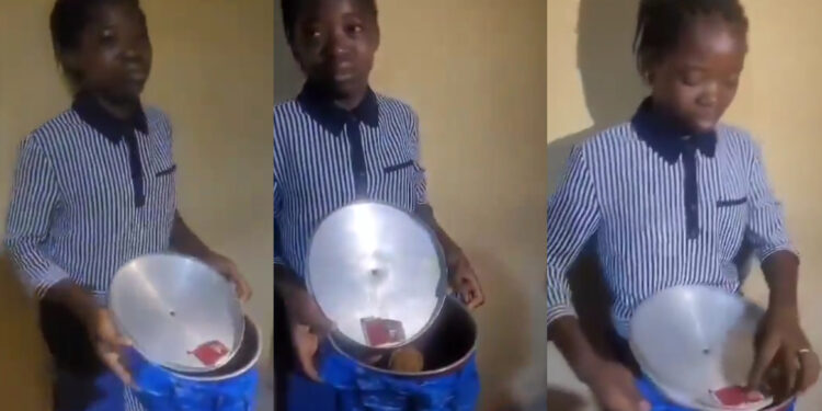 Shocking Incident: Young House Help Caught Trying to Poison Family Over Seized Phone