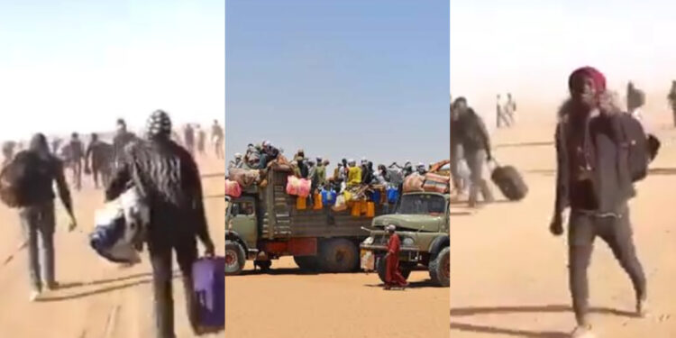 Desperate Journeys: Nigerians Braving the Desert for a Better Life in Europe