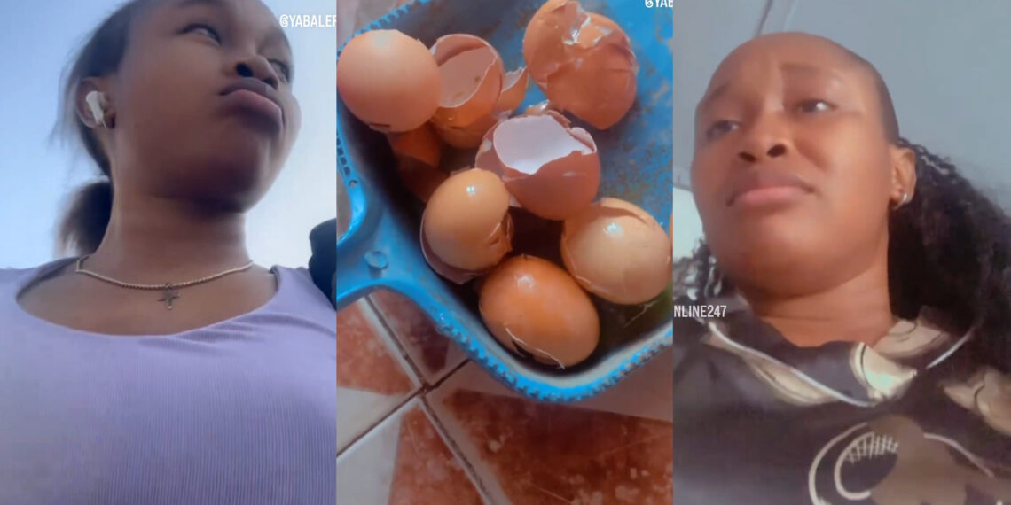 Lady Cries River After Her Pet Cat Broke Her Crates Of Egg