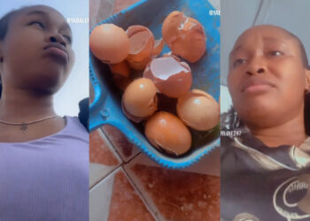 Lady Cries River After Her Pet Cat Broke Her Crates Of Egg 