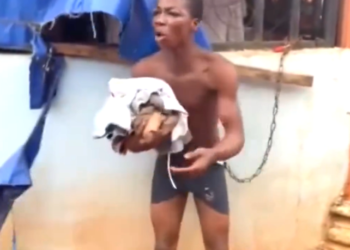 Hilarious Moment A Thief Was Made To Dance With Items He Stole