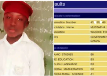 WAEC result of boy who scored 136 in JAMB got people talking on the internet