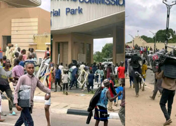 Kano Protests: Protesters Loot NCC Industrial Park Amid Rising Hardship