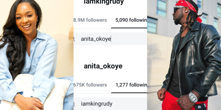 Netizens React As Paul Okoye and Anita Okoye unfollow each other on Instagram