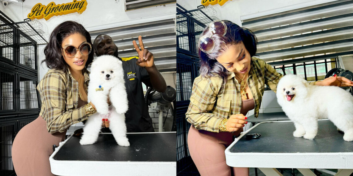 Tonto Dikeh Celebrates Amid Alleged Car Debt Controversy by Showing Off Her New N6 Million Dog