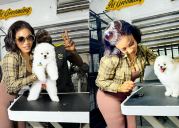 Tonto Dikeh Celebrates Amid Alleged Car Debt Controversy by Showing Off Her New N6 Million Dog