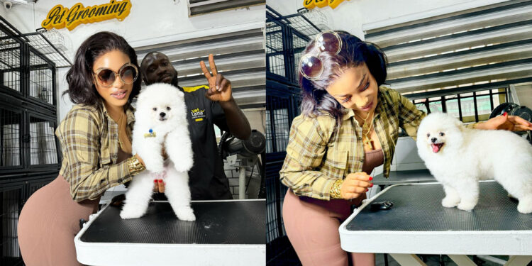Tonto Dikeh Celebrates Amid Alleged Car Debt Controversy by Showing Off Her New N6 Million Dog
