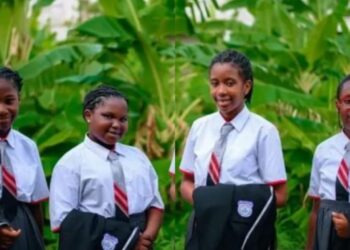 Nigerians rejoice as 12-year-old school girls built an ‘AgriConnect’ app to fight food insecurity in Nigeria 