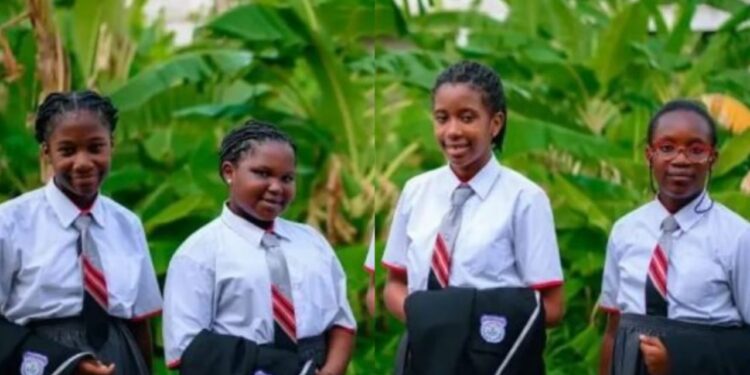 Nigerians rejoice as 12-year-old school girls built an ‘AgriConnect’ app to fight food insecurity in Nigeria 