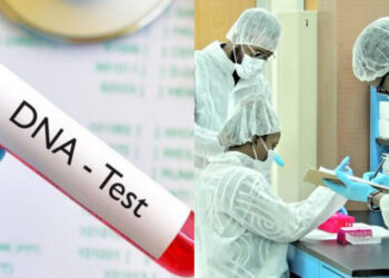 “Shocking DNA Report: 1 in 4 Nigerian Men Not Biological Fathers, Immigration Testing Soars Amid Emigration Wave”