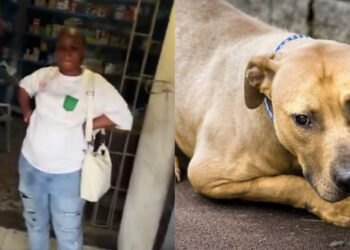 “Viral Jealous Woman Attacks Rival’s Finger Over Affair in Shocking Video”