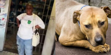 “Viral Jealous Woman Attacks Rival’s Finger Over Affair in Shocking Video”