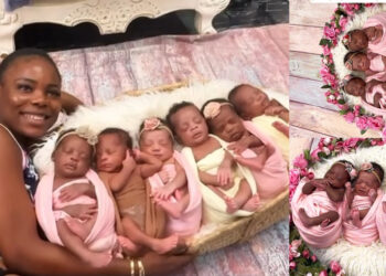“They are So Adorable” Nigerian lady who Naturally gave birth to 6 babies at once does their first Ever Professional shoot
