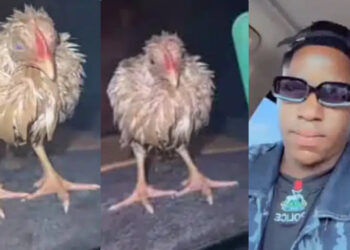 Nigerian man goes viral for his great gesture. The man was passing on a road and he saw a chicken under heavy rain. Instead of leaving it there to suffer, he was so kind enough to rescue it and put in his car Then drove home