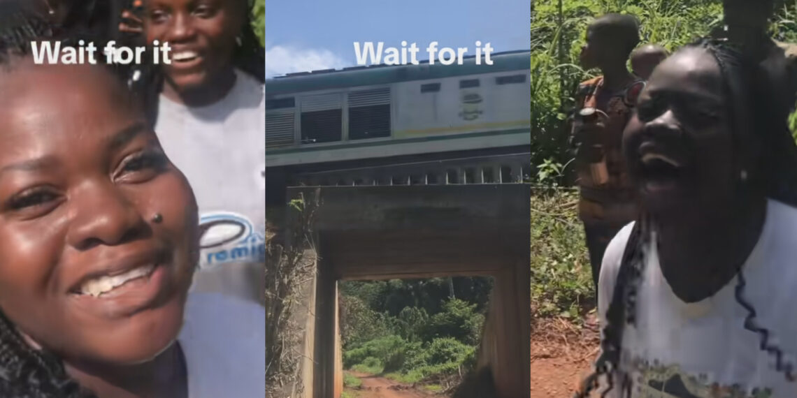 There was jubilation as neighboring villages in Nigeria gathered to watch a moving train for the first time. The video went viral, capturing their excitement and amazement.