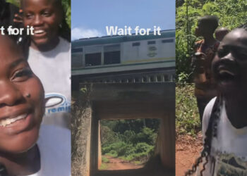 There was jubilation as neighboring villages in Nigeria gathered to watch a moving train for the first time. The video went viral, capturing their excitement and amazement.