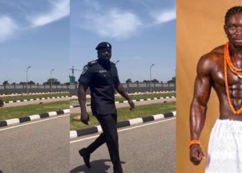 Nigeria Police Force Condemns VeryDarkMan for Unauthorized Use of Police Uniform