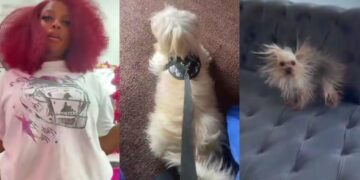 Nigerian Lady cr!es out after leaving her dog with her mom, only to see it looking different later (Video)