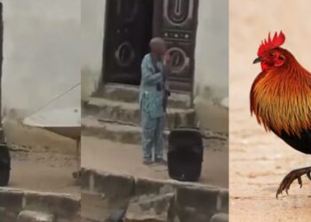 “I am a man of God, that fowl is pastor fowl, N30K”-Pastor Places Curse on Thief Who Stole His N30K Christmas Fowl