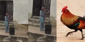 “I am a man of God, that fowl is pastor fowl, N30K”-Pastor Places Curse on Thief Who Stole His N30K Christmas Fowl