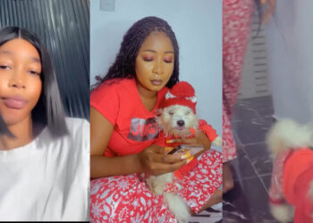 Nigeria lady rest in disbelief after she went to her sister’s house and saw her and her pet wearing the same Matching outfit