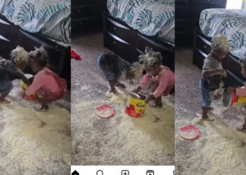 Moment mother came in the room and found out her babies&nbsp; has Redesign the Entire Room with their food.