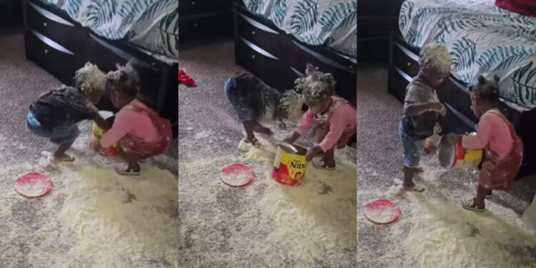 Moment mother came in the room and found out her babies&nbsp; has Redesign the Entire Room with their food.