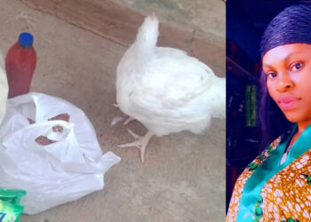 “See wetin them share us for daily contribution that worths 110k” lady Raised alarm after she received chicken and other items from a daily contribution of 110k.