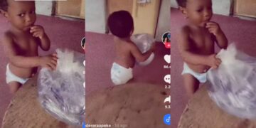 Heartwarming Moment&nbsp; Toddler Stuns Mother by Carrying Heavy Water Bag with Ease