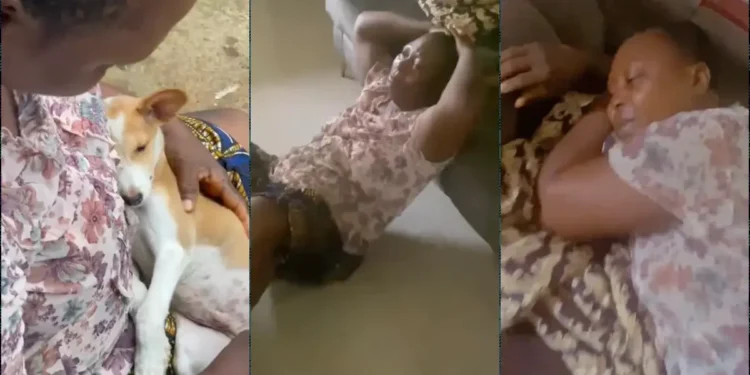 RIP! Woman Overcome with Grief After Losing Beloved Dog