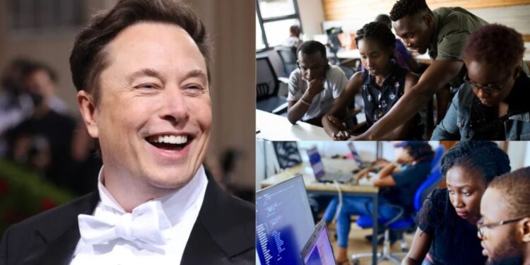 “We don’t care where you went to school, Just show us your code”- Elon Musk offers job opportunities to Nigerian Software Engineers