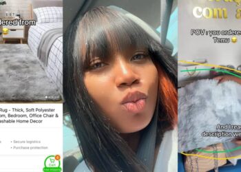 “Maybe you didn’t choose the right measurement”- Lady Receives Tiny Rug Despite Reading Product Description, Laments Online