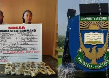 NDLEA arrests Unilorin graduate, student for selling cupcakes that is full of drug