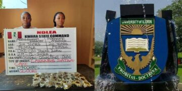 NDLEA arrests Unilorin graduate, student for selling cupcakes that is full of drug