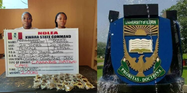 NDLEA arrests Unilorin graduate, student for selling cupcakes that is full of drug