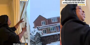 Abroad Based Lady Captures Heartwarming Moment as Her Mother Sees Snow for the First Time