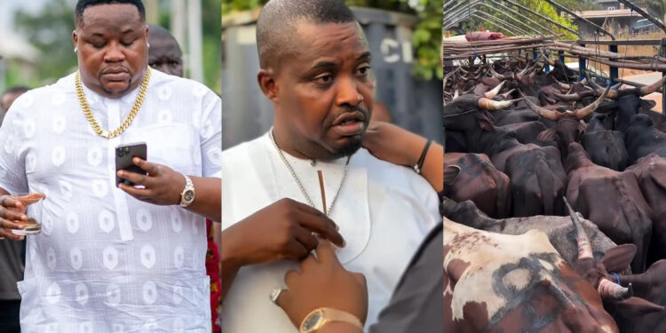 Cubana Chief Priest gifted his business colleague Zenco 47 Life Cows To celebrate her mother burial who passed away a 47 Years