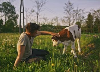 Man kicked to de@th after attempting to r@pe cow