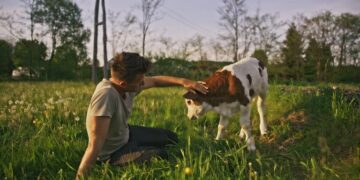 Man kicked to de@th after attempting to r@pe cow