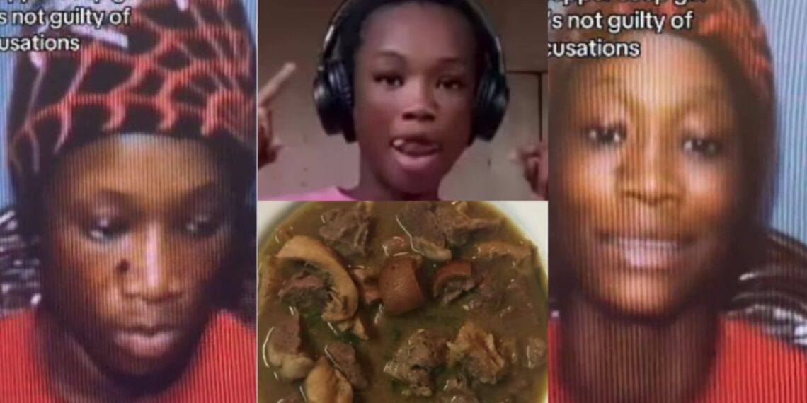 “I’ve been vindicated and free at last”- The pepper soup girl, Aisha Suleiman who was accused of K!lling 4 people speaks out after being cleared of mu.rder charges