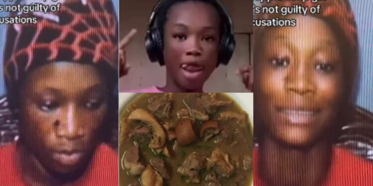 “I’ve been vindicated and free at last”- The pepper soup girl, Aisha Suleiman who was accused of K!lling 4 people speaks out after being cleared of mu.rder charges