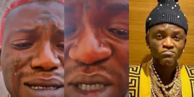 Portable cries profusely amid legal battle with Ogun State government