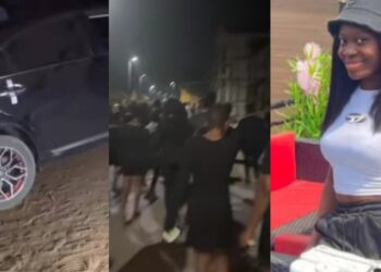 Final year nursing student dies after being hit by car driven by learner at night