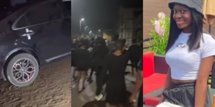 Final year nursing student dies after being hit by car driven by learner at night