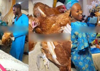 “You just know the son’s marriage will last – Video as groom’s mother shares live chicken as souvenir